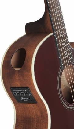 Ibanez AE100BUF AE Series Acoustic Electric Guitar - Burgundy Flat