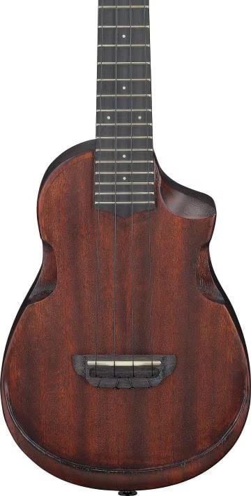 Ibanez AUC14OVL Open Pore Violin Sunburst w/Gig Bag