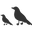 A Sound Education logo