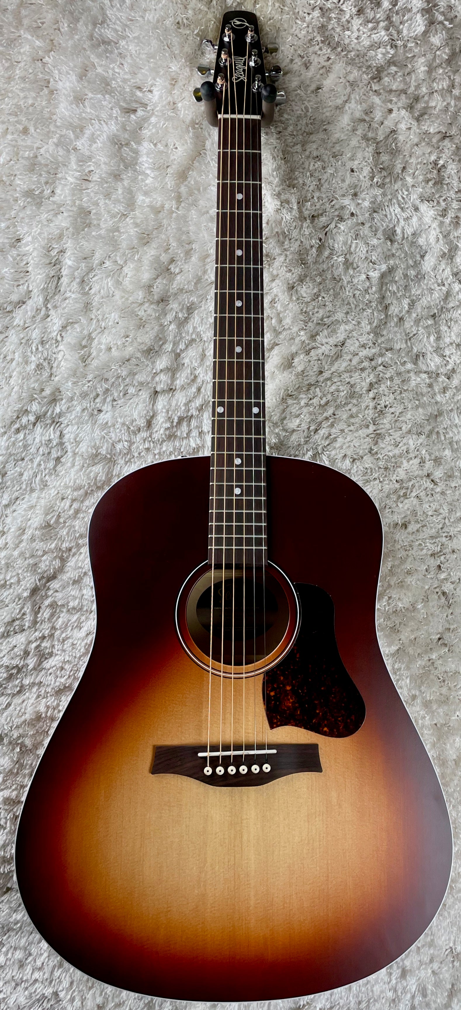 Seagull Entourage Acoustic Guitar Autumn Burst 046492